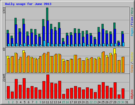 Daily usage for June 2013
