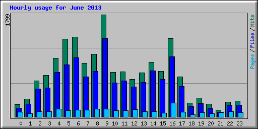 Hourly usage for June 2013